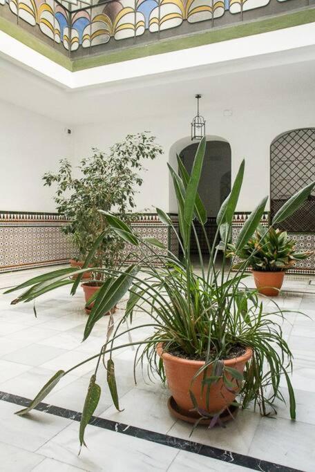 Cozy In A Typical Sevillian Patio House * Séville