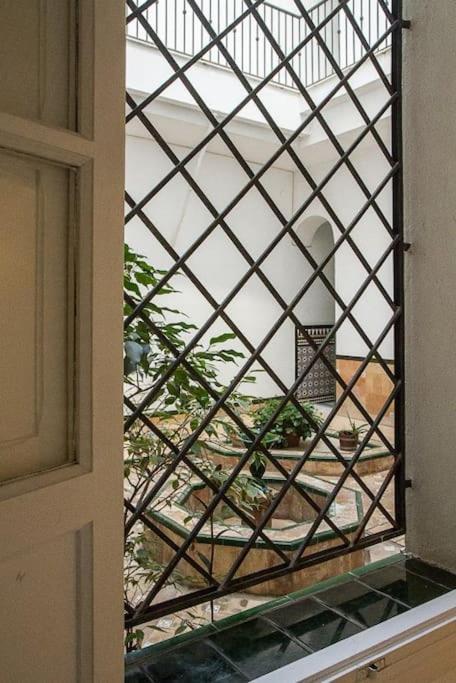 Cozy In A Typical Sevillian Patio House Appartement *